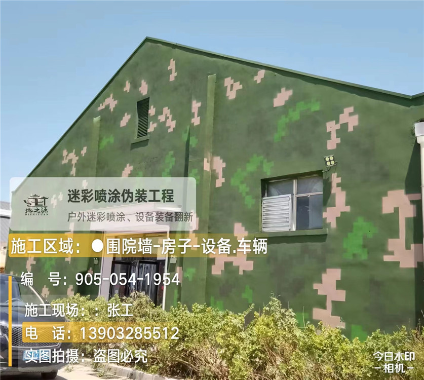 宁德外墙数码迷彩漆施工报价清单（100㎡标准墙面测算）